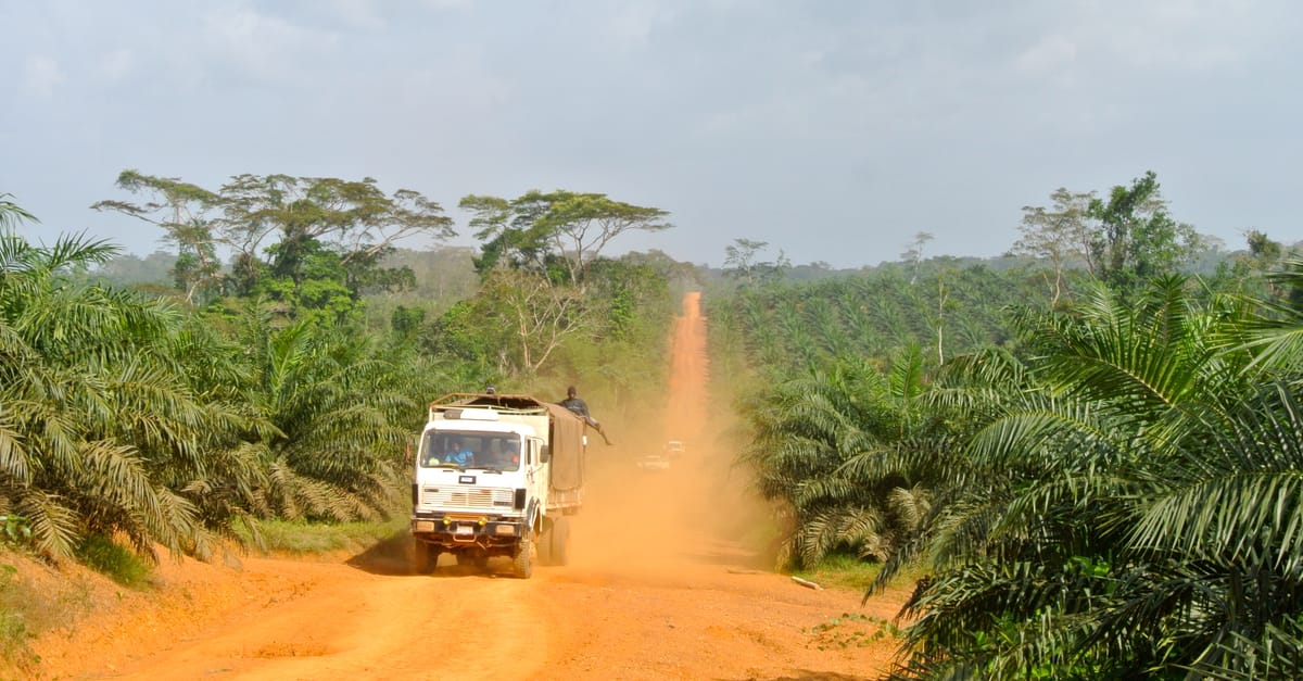 Huile de palme GVL du groupe Sinar Mas coupable de déforestation au