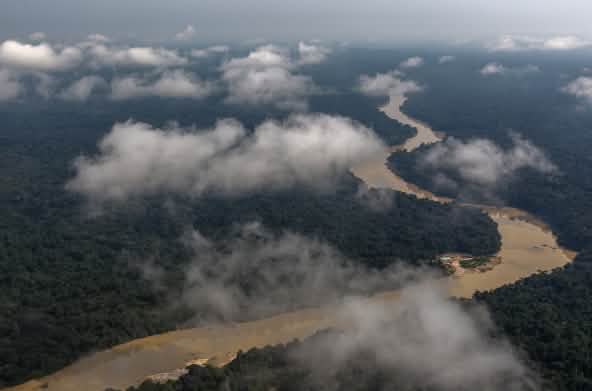 Vue aérienne de la forêt amazonienne