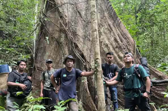 Groupe d’hommes posant au pied d’un arbre majestueux