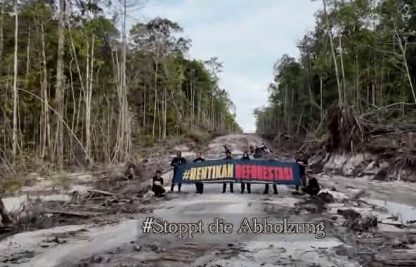 Des activistes protestent au milieu d’une route de bûcheronnage. Ils brandissent une bannière sur laquelle est écrit « Halte à la déforestation ! » en indonésien.