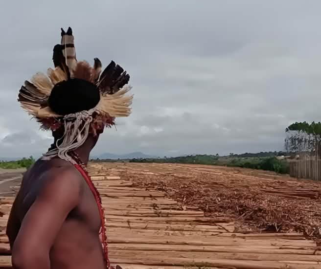 Indigène dans une plantation d’eucalyptus au Brésil
