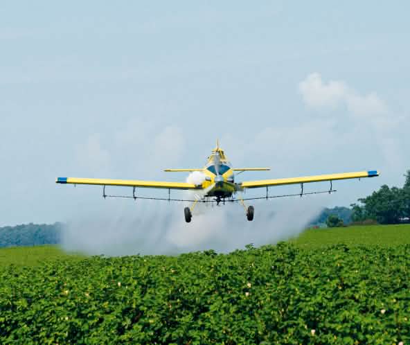 Un avion pulvérise des pesticides sur un champ de soja