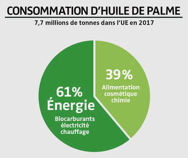 L’huile De Palme : La Déforestation Au Quotidien - Sauvons La Forêt