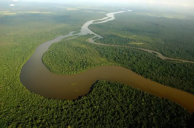 Le monarque espagnol et ancien président d’honneur du WWF Juan Carlos pose avec un fusil devant l’éléphant qu’il vient d’abattre au Botswana