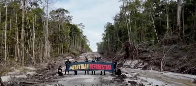 Des activistes protestent au milieu d’une route de bûcheronnage. Ils brandissent une bannière sur laquelle est écrit « Halte à la déforestation ! » en indonésien.