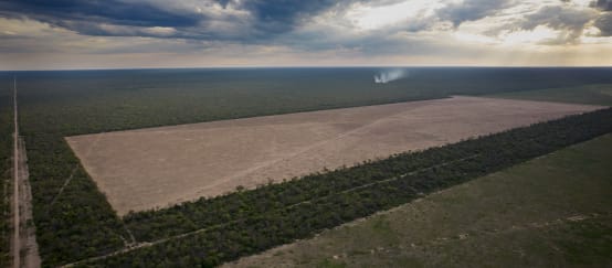 Vue aérienne montrant la forêt du Chaco défigurée par deux grandes surfaces rectangulaires de défrichage et des routes