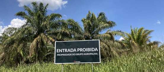 Panneau de signalisation devant une plantation de palmiers à huile sur lequel est inscrit (en brésilien) : ENTRÉE  INTERDITE - PROPRIÉTÉ DU GROUPE AGROPALMA
