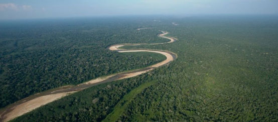 Photos aériennes d’un fleuve, qui serpente à travers la forêt tropicale restée intacte dans les plaines de Bolivie