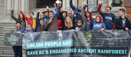 Les activistes ont remis une pétition de 180.000 signatures contre le déboisement sur l’île de Vancouver