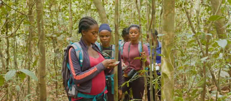 Groupe de femmes éco-gardes en patrouille dans la forêt tropicale Groupe de femmes éco-gardes en patrouille dans la forêt tropicale