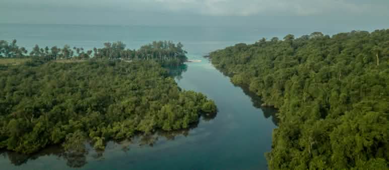 Le gouvernement cambodgien veut aménager l’île de Koh Kong pour le tourisme de luxe et la "développer" avec des plantations Vue aérienne de l’île de Koh Kong au Cambodge