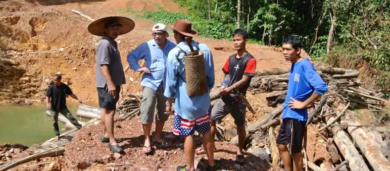Au Sarawak, des entreprises forestières abattent des arbres illégalement sur le territoire des indigènes Des autochtones du peuple Iban se tiennent sur une piste aménagée illégalement par des bûcherons au Sarawak