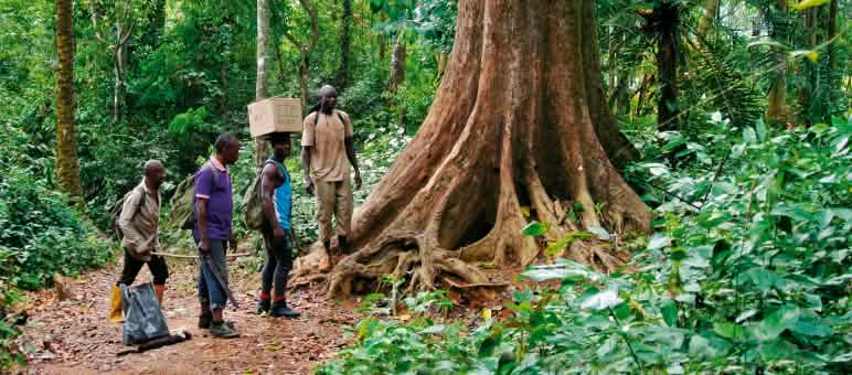 La communauté Ekuri préserve sa forêt coutumière depuis des générations Éco-gardes dans la forêt de Cross River au Nigeria