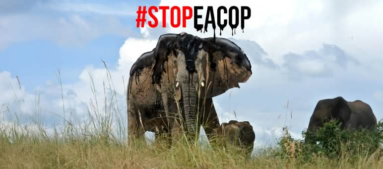 Ouganda : libérez les 11 opposants au projet pétrolier EACOP ! Photomontage : Le pétrole est un grand danger pour les éléphants - #StopEACOP