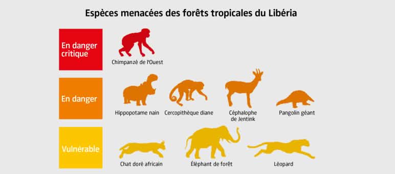 Cartes des espèces menacées des forêts tropicales du Libéria Carte des espèces animales menacées des forêts tropicales du Libéria