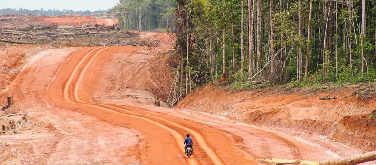 Les routes ouvrent la voie à l’exploitation des ressources naturelles, au détriment des forêts de Papouasie et de leurs populations. Une grande surface défrichée jouxte la forêt tropicale
