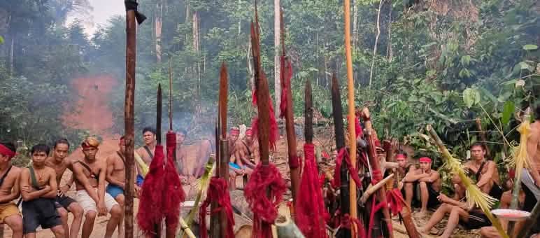 La forêt tropicale ne peut être préservée que si les droits des autochtones sont respectés. Ici, le peuple Dayak proteste pour la préservation de sa forêt dans la localité de Kinipan Les Autochtones du peuple Dayak Tomun s’opposent à la destruction de leur forêt par la société d’huile de palme SML à Kinipan