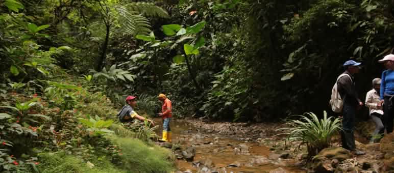 Cours d’eau dans la forêt de nuages, au milieu de la concession de la mine de cuivre, près de Junin dans l’Intag Personnes au bord d’un ruisseau dans la forêt tropicale de nuages