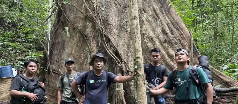 La forêt ancestrale du village de Tongka est sauvée ! Groupe d’hommes posant au pied d’un arbre majestueux