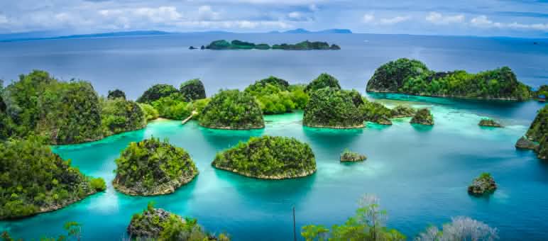 Raja Ampat abrite les trois quarts des espèces de coraux connues à ce jour dans le monde Vue aérienne de petites îles d’un archipel près de la Papouasie