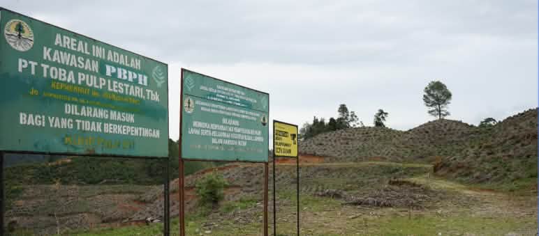 « Entrée interdite ! » La société Toba Pulp Lestari a depuis longtemps transformé la forêt tropicale en site de production de cellulose et de viscose Panneaux « Entrée interdite ! » devant des collines dénudées