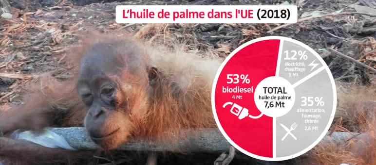 L’huile de palme doit être abandonnée en tant que biocarburant au sein de l’UE d’ici à 2030 Photomontage - Diagramme de la consommation d’huile de palme dans l’Union européenne (UE) en 2018