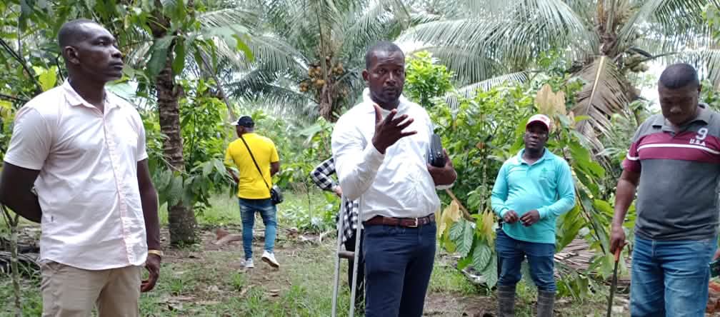 La municipalité de Barranquilla de San Javier se plaint de l’accaparement de ses terres et des décisions de la justice Luis Quintero, président de la commune de Barranquilla de San Javier, ainsi que d’autres habitants affectés par l’expansion des plantations de palmier à huile dans la région et criminalisés par l’entreprise "Energy & Palma" et l’État