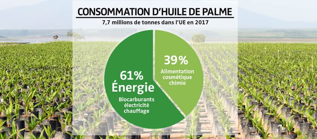 Les forêts tropicales disparaissent à cause de la politique énergétique européenne FOTOMONTAGE - Diagramme consommation d'huile de palme dans l'UE en 2017 et plantation en arrière plan