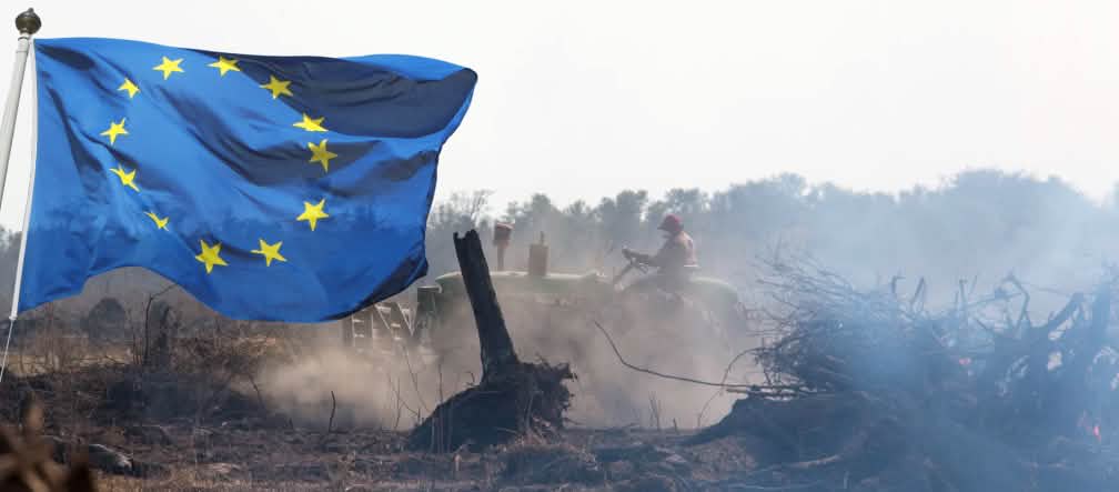 Déforestation au profit de plantations de soja dans la région du Chaco, Amérique du Sud Photomontage : un drapeau de l'Union européenne flotte devant une surface de défrichement brûlée dans la forêt vierge