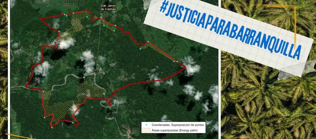 Empiètement des plantations de palmiers à huile
 sur le territoire de la municipalité de San Javier de Barranquilla Empiètement des plantations de palmiers à huile
 sur le territoire de la municipalité de San Javier de Barranquilla