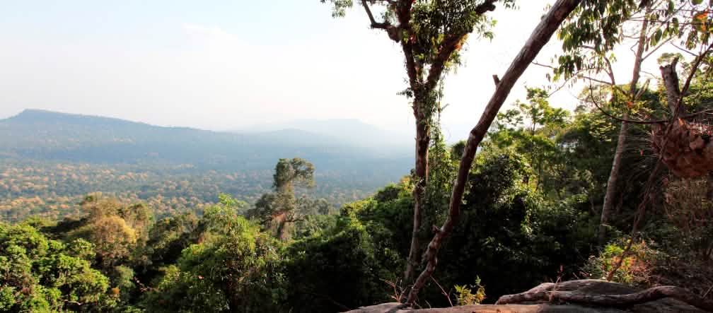 Ce que l'on veut voir rester en l'état : la forêt tropicale jusqu'à l'horizon
