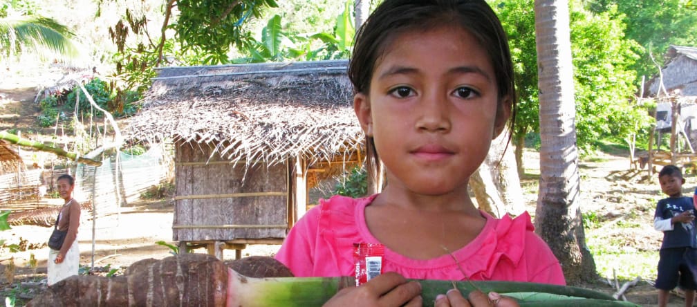 Les familles Pala'wan cultivent leurs fruits et leurs légumes dans des petits jardins forestiers Avec pour arrière plan les cabanes de son village, une jeune fille au T-Shirt rose nous montre une belle botte de Taro