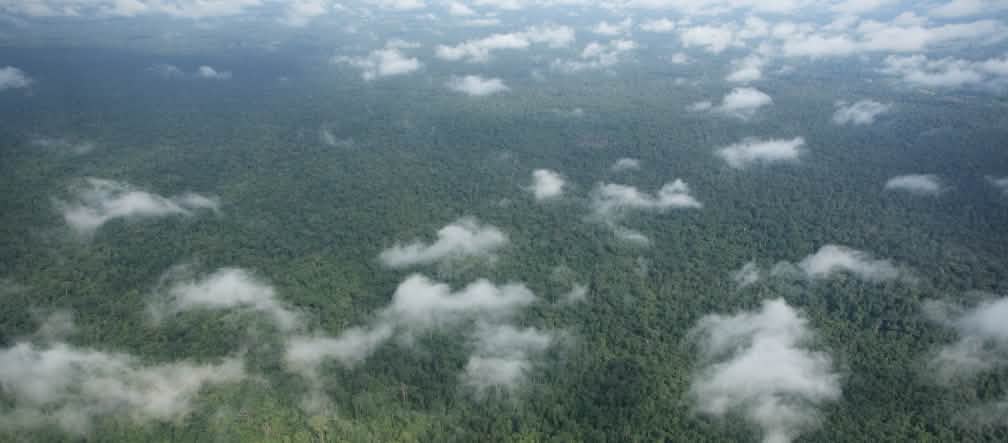 La forêt de Prey Lang est toujours menacée, malgré sa protection officielle au Cambodge Vue aérienne d’une forêt tropicale dense survolée par quelques petits nuages