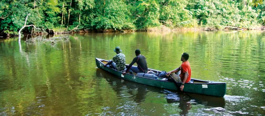 Les forêts recouvrent encore une grande partie du Libéria Rivière à l’intérieur du parc national de Sapo