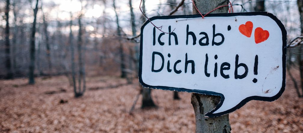 Vue sur la forêt de Trebur près de l'aéroport de Francfort. Une pancarte accrochée à un arbre indique le message "Je t'aime" en allemand