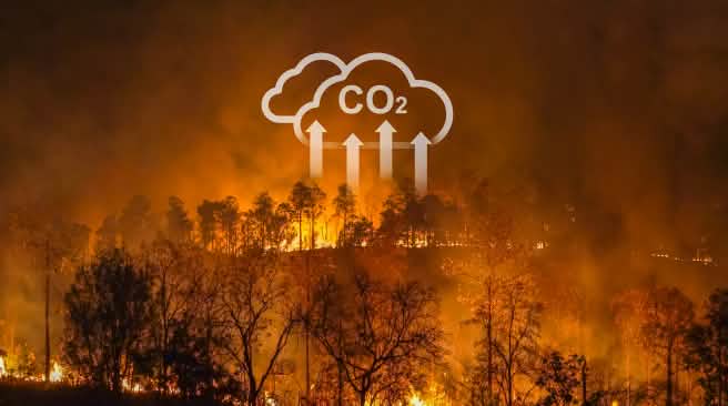 Les incendies de forêt et la culture sur brûlis contribuent à la crise climatique mondiale