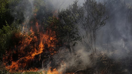 Des buissons sont en feu qui dégagent beaucoup de fumée