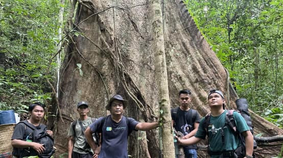 Groupe d’hommes posant au pied d’un arbre majestueux