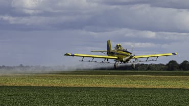 Un avion à hélice pulvérise des pesticides au-dessus d’un champ de soja