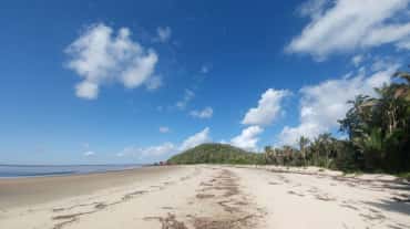 Plage immaculée avec son sable blanc et ses palmiers sur l’île de Cajual