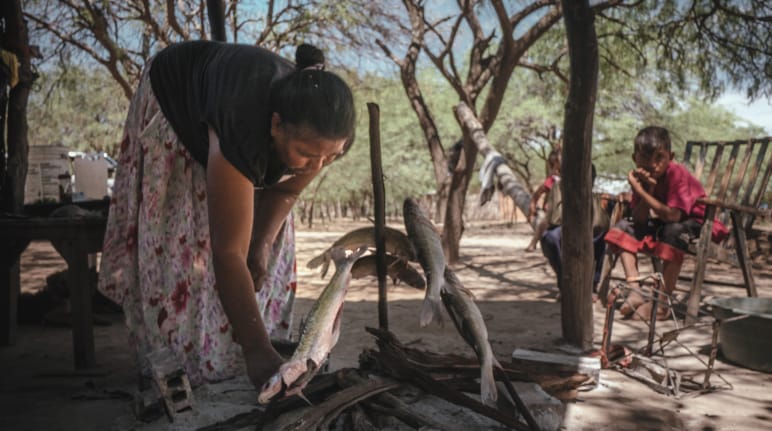 Une femme indigène se prépare à faire griller des poissons au sol sous la cime des arbres, sous le regard d’un enfant.