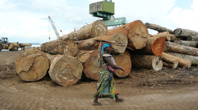 Tas de grumes dans le port de Kinshasa