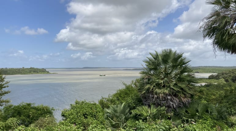 Vue sur les mangroves de la baie de São Marcos avec l’île de Cajual en arrière-plan.