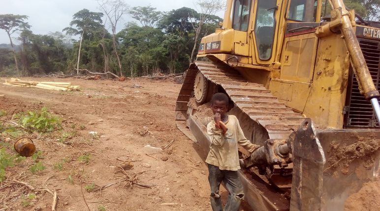 Un jeune garçon se tient à côté d'un bulldozer sur un terrain défriché dans la forêt tropicale