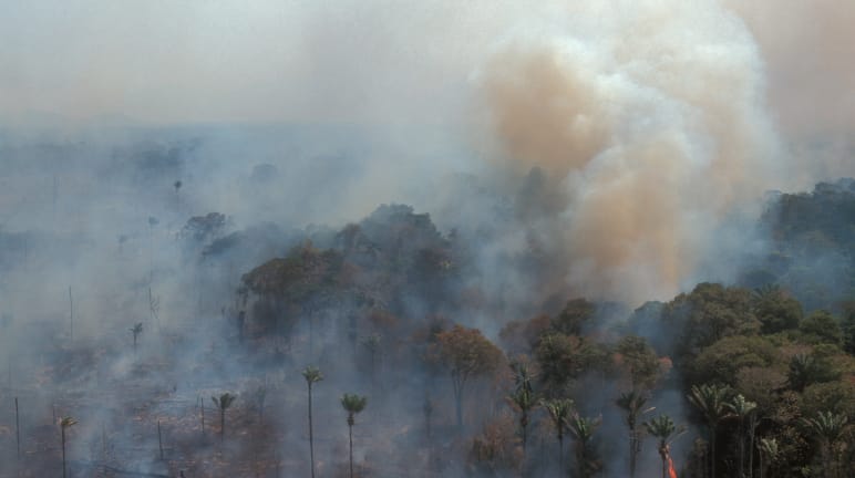 Vue aérienne de la combustion de la forêt amazonienne