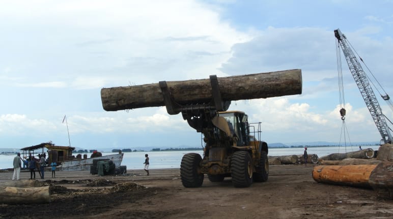 Chargement de bois au port de Kinshasa