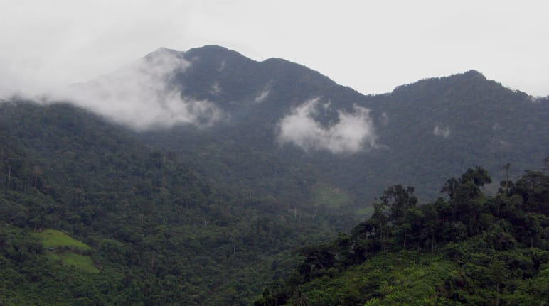 Paysage de montagne boisé à Palawan aux Philippines