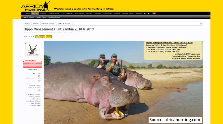 Capture d'écran de site internet offrant des chasses à l'hippopotame