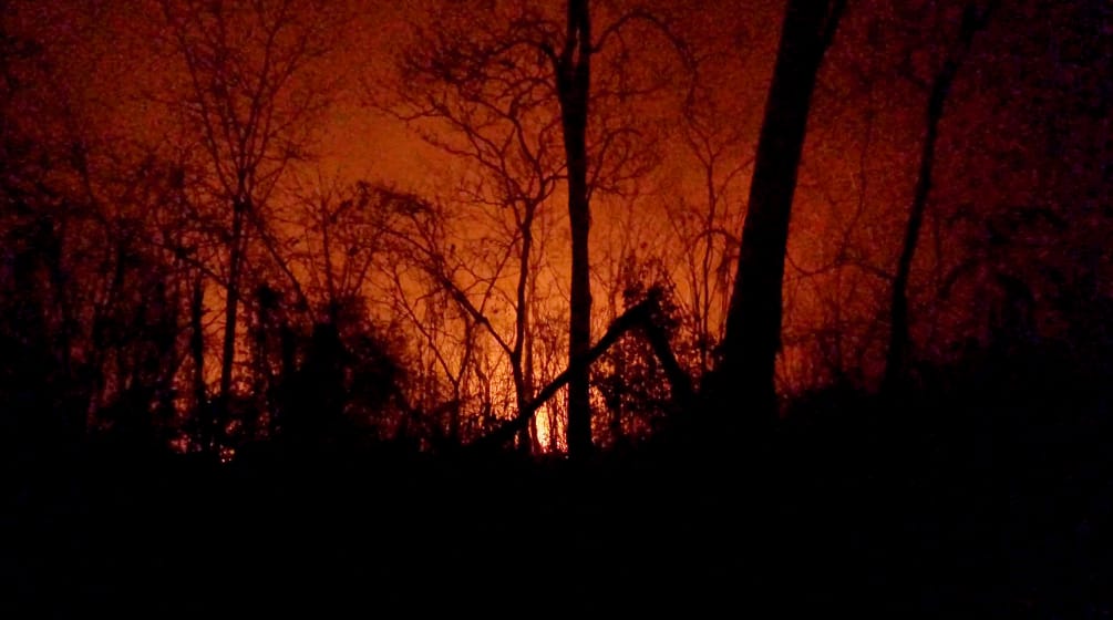 Paysage apocalyptique avec des restes d’arbres calcinés au premier plan sur fond de ciel rouge et de flammes