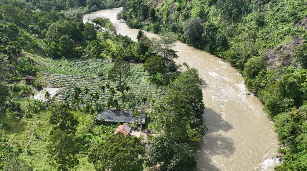 Photo de drone d’une pépinière au bord d’une rivière dans la forêt